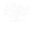 state logo